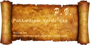 Pattantyus Valéria névjegykártya